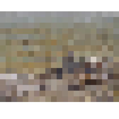 "Морской пейзаж"