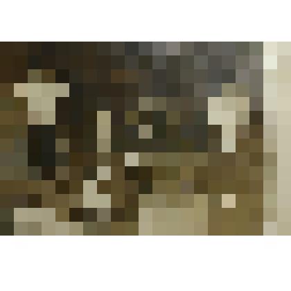 Фотография женщины и двух мужчин