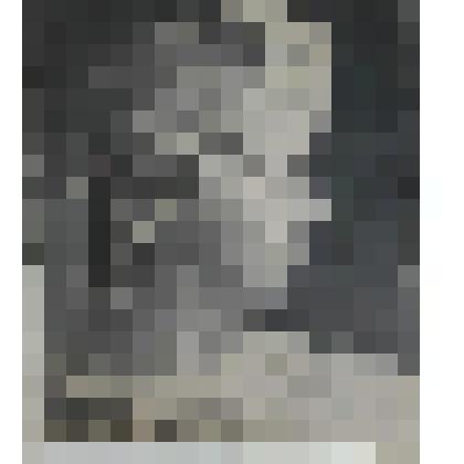 Рисунок. Голова Аполлона