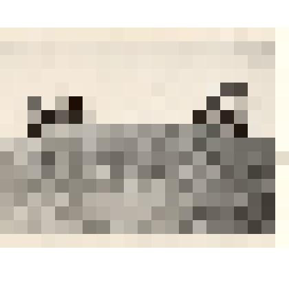 Фотография: трамбовка кукурузной массы в колхозе имени Кирова Каменского района Алтайского края. Трактористы Дубровский Владимир и Бокорт Владимир