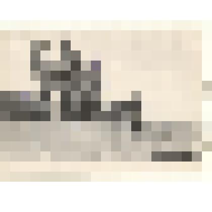 Фотография: на току Южного отделения совхоза  "Боровой" Каменского района Алтайского края