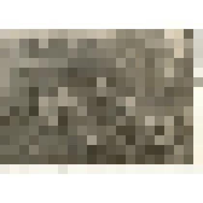 Фотография: солдаты Советской Армии на отдыхе на даче Паулюса (?), 1945 г., Германия