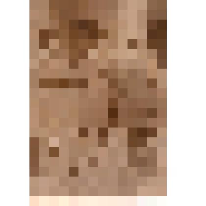 Фотография. Три человека в военной форме одежды. Слева направо: Полуянский В.А., Жарков С., Павел