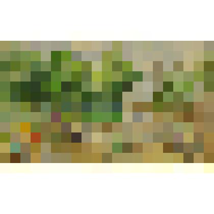 Рисунок. Весна в парке города Химки