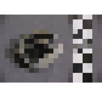 коллекция В.Ф. Лагодича. Талисман каменный, выполненный в виде головы человека. Овальной формы. С волосами вырезанными с правой и левой стороны от лица. Камень серого цвета, лицо черного