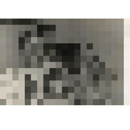 Фото. Шолкович Б. М. в кругу семьи. 1948 г