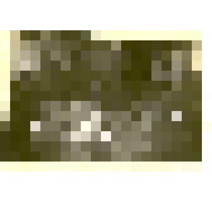 Фотография: экспозиция Каменского краеведческого музея. Отдел истории