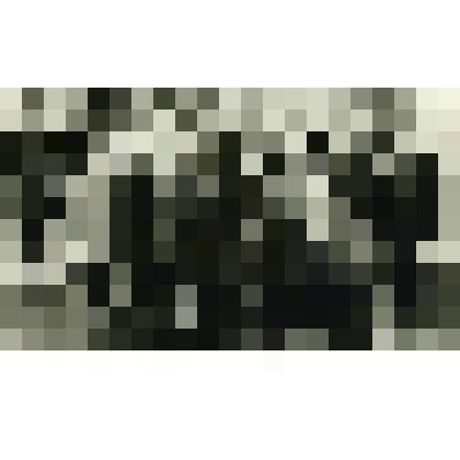 Фотография. Учащиеся средней школы № 877 Пролетарского района, село Коломенское