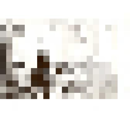 Фотография: Айгарова Нина Михайловна, выпускница Бийского техникума механической обработки древесины