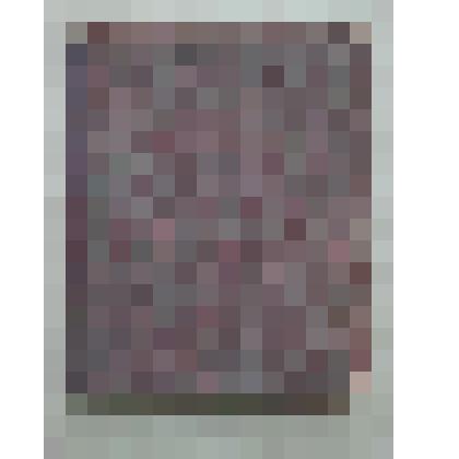 Книга рукописная. Сборник старообрядческий. XX в. (начало)