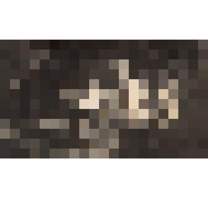 Фото ч/б "Рябинин 1 секретарь Хмелевицкого волкома комсомола"