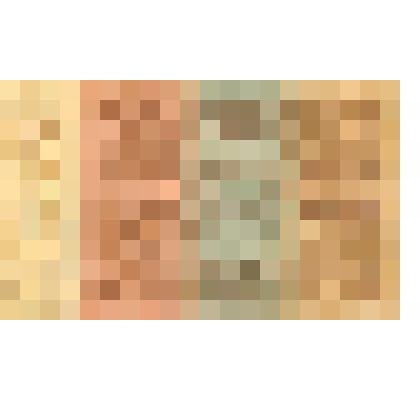 Государственный денежный знак 1000 рублей, образца 1922 года