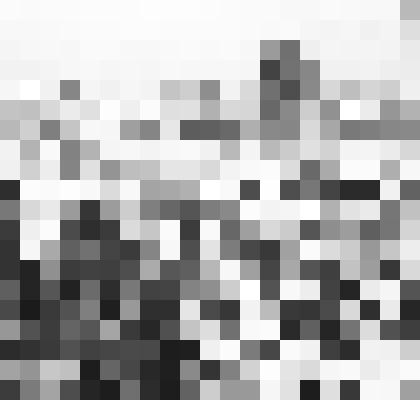 Негатив. Митинг на площади Нахимова, посвящённый 175-летию Севастополя