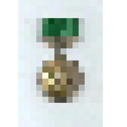 Знак нагрудный "Ветеран сельского хозяства Якутии"