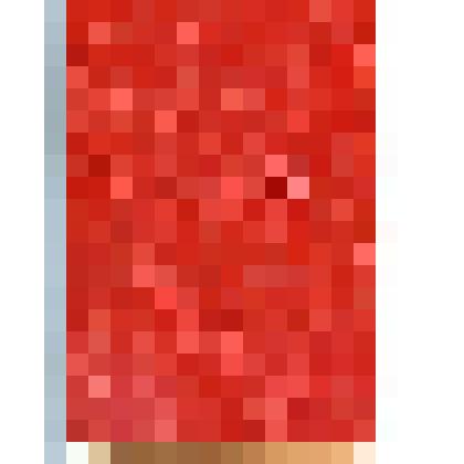 Партийный билет