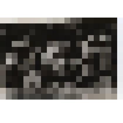 Фотография. Гребенщикова Анна Васильевна в группе с одноклассниками в день 50-летия окончания школы