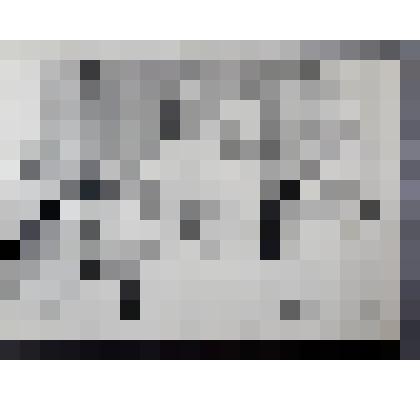 Фотография. Коллектив врачей