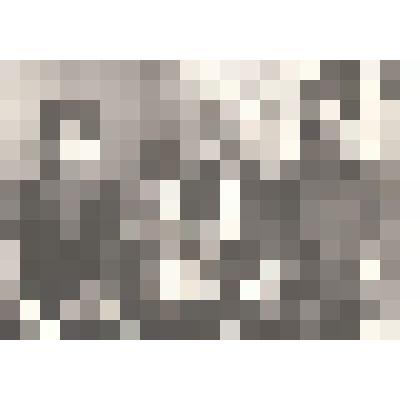 Фото ч/б: Демченко Василий Михайлович, хирург, Почетный гражданин города В. Салда