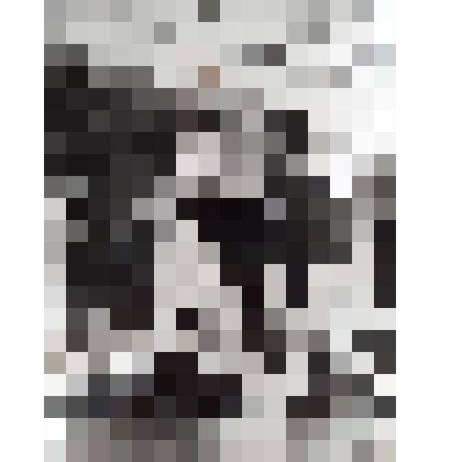 Фотография Доттуев Ахмат Жамалович - четырехкратный чемпион России, двукратный чемпион Восточной Европы, интерконтинентальный чемпион мира по боксу (WBC)