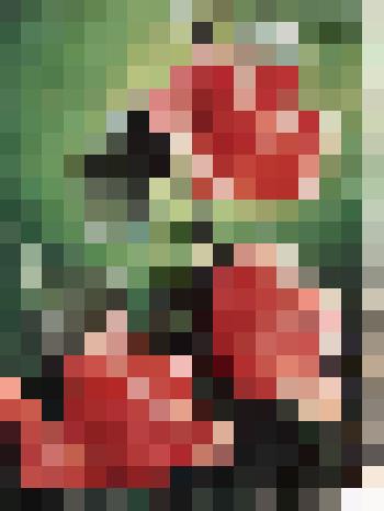 Открытка поздравительная