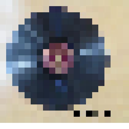 Пластинка граммофонная двусторонняя фирмы «ELECTROLA»