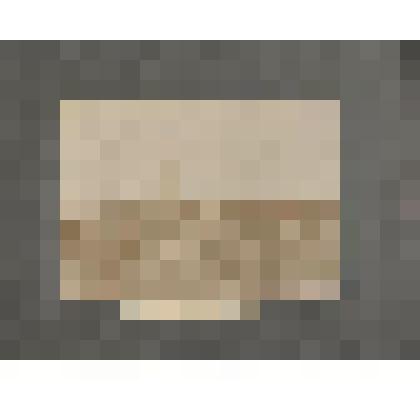 Фотография. Драга