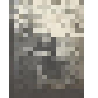 Л.Н.Толстой на прогулке в окрестностях Ясной Поляны