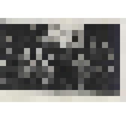 Фотография ч/б. Группа сотрудников Центрального Телеграфа на мероприятии, посвященном 30-летию Советской армии