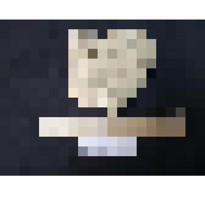 Органогенный криноидный известняк