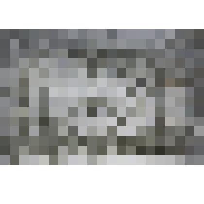 Рисунок «Животное в клетке»