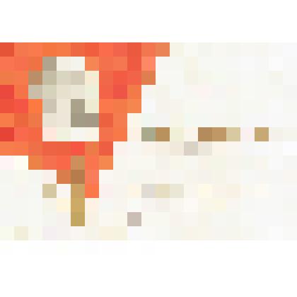 Свидетельство Кочепасовой Анны Ивановны о занесении в Книгу Почета Арженского Суконного комбината