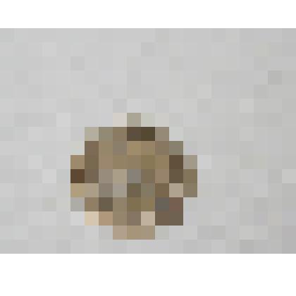 Монета. 1 копейка