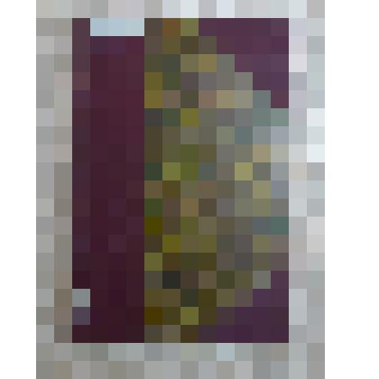 Журнал "Вестник Европы", август 1896 г