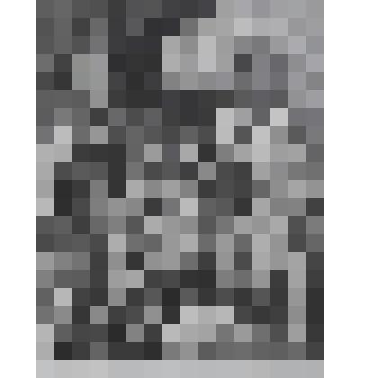 Поклонение пастухов