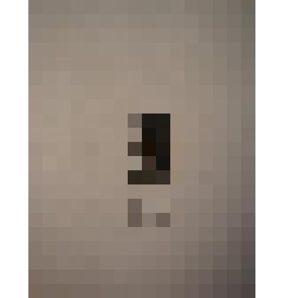 Жетон с изображением Л.Н.Толстого