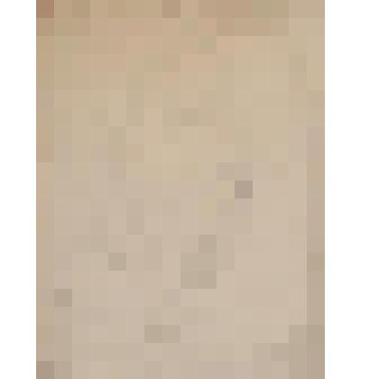 Портрет художника Михаила Ростовцева