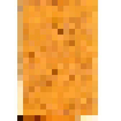 Письмо с фронта   Ипатьевой Г.В. от  Оськина Николая, студенческого друга