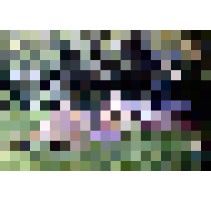 Диапозитив. Бульвар. (190)