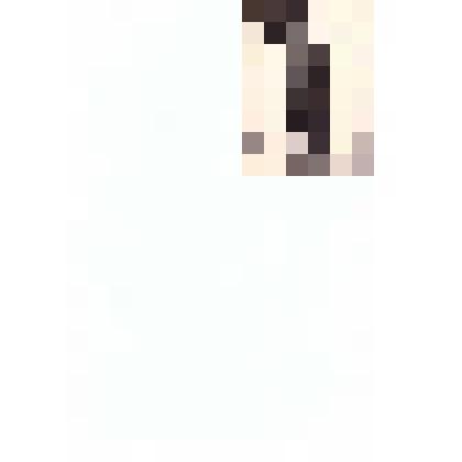 Фото композиционное