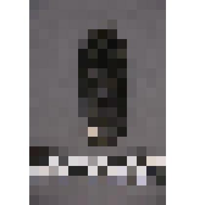 коллекция В.Ф. Лагодича. Талисман на металлической пластине, по мотивам изваяний окуневской культуры. С изображением 3-хглазого женского божества с грудями, прорезанными глазами. Личина разделена на 2 части двумя горизонтальными линиями по уровню – глаза;