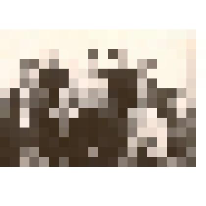 Фотография: бригада дояров Самарского отделения Рыбинского совхоза Каменского района Алтайского края