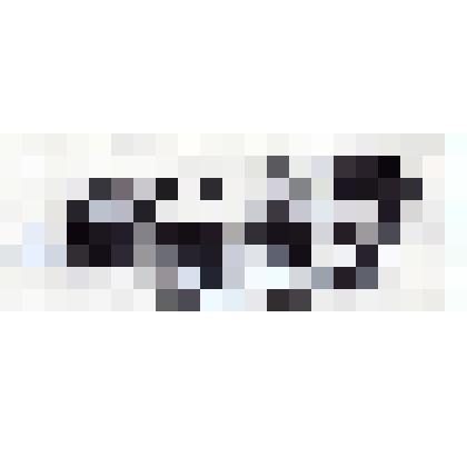 Гравюра: Мцыри (заставка)