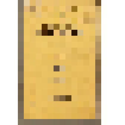 Книга. Война мусульман против китайцев / прил. сост. Н.Н. Пантусовым. - Казань: Универ. тип., 1881. - Вып.2. - 72 с