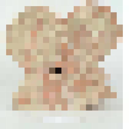 Кирпич формованный фигурный. Фрагмент