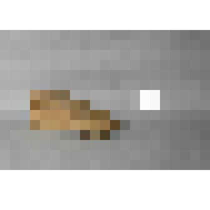 Колодка для обуви