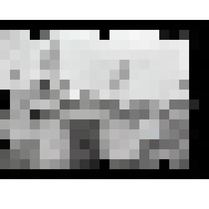 Негатив. Комплекс "Красные ворота" государева двора. Село Коломенское