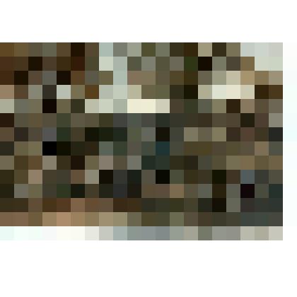 Хива. У базара