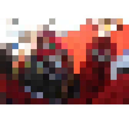 Фотография. Девочка на праздничной нарте