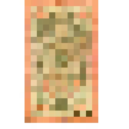 Государственный кредитный билет номиналом 10 рублей, образца 1909 года