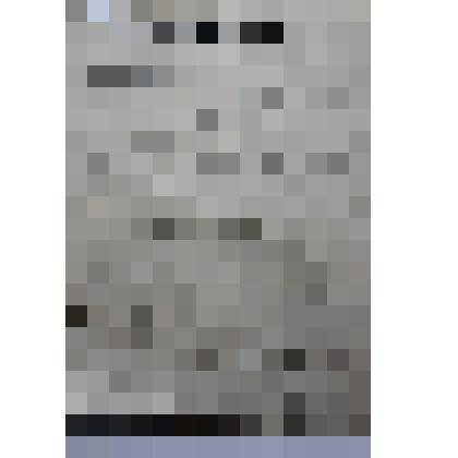 Протокол заседания Озеренского волостного суда